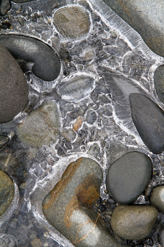 River Rocks Encased In Ice